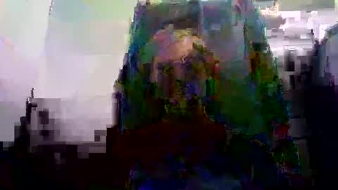 ghardh3 online show from February 19, 2025, 5:05 am