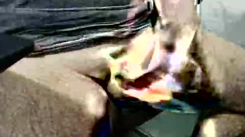 ghost1805 online show from October 14, 2025, 3:51 am