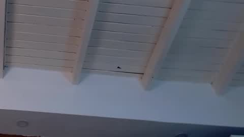 gigi wilden online show from February 19, 2025, 8:20 pm