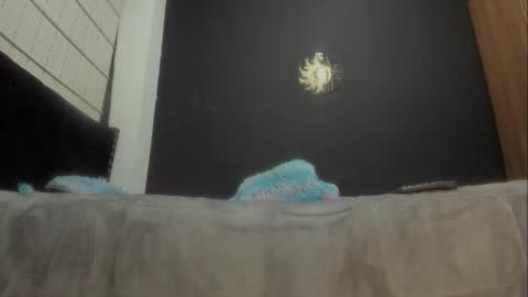 Snapshot of ginger_amarett chatting on March 7, 2025, 6:54 pm Miss online show from March 7, 2025, 6:54 pm