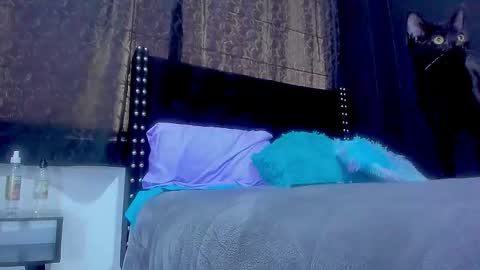 Snapshot of ginger_amarett chatting on September 29, 2025, 5:40 pm Miss online show from September 29, 2025, 5:40 pm