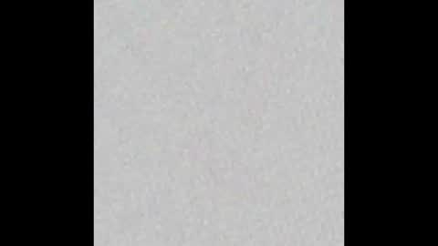  Diana   online show from January 31, 2025, 10:52 am