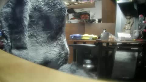 giovanne1 online show from December 8, 2024, 6:22 am