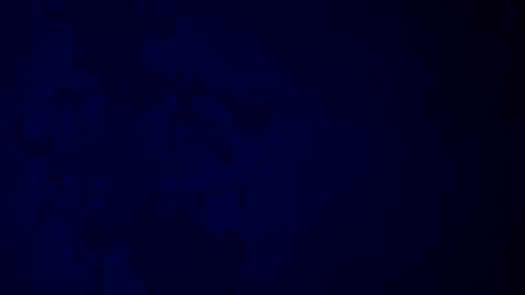 elen06 online show from December 16, 2025, 9:25 am