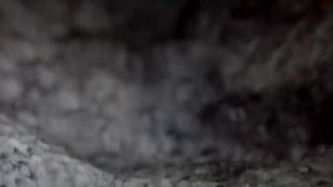 e-Bizl online show from December 7, 2024, 11:51 am