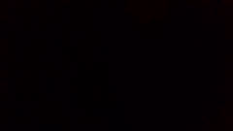 e-Bizl online show from February 11, 2025, 8:05 am