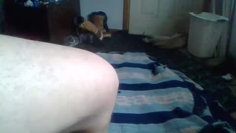 e-Bizl online show from February 12, 2025, 7:13 pm