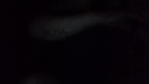 e-Bizl online show from February 17, 2025, 3:15 am