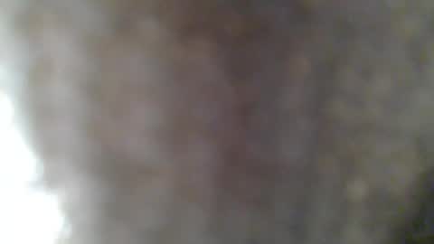 e-Bizl online show from February 25, 2025, 7:31 am