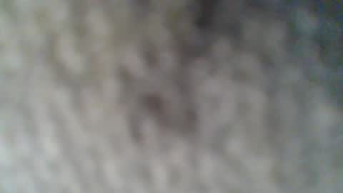 e-Bizl online show from February 25, 2025, 10:37 am