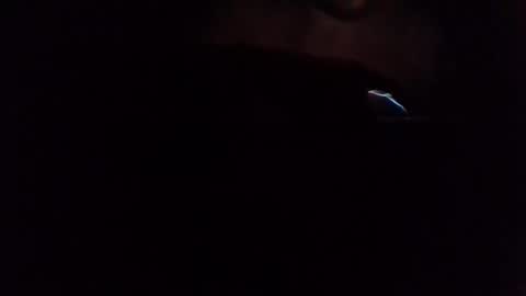 e-Bizl online show from March 7, 2025, 6:57 am