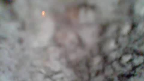 e-Bizl online show from March 7, 2025, 1:18 pm