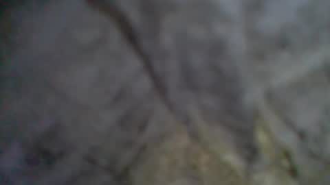 e-Bizl online show from September 11, 2025, 9:04 pm