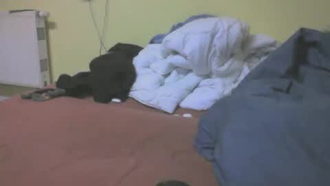 gnz310388 online show from March 4, 2026, 7:20 pm