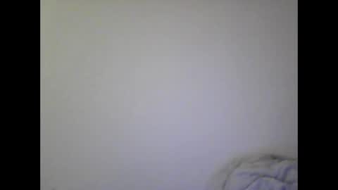 Snapshot of gohan8558 chatting on December 25, 2024, 2:56 pm gohan8558 online show from December 25, 2024, 2:56 pm