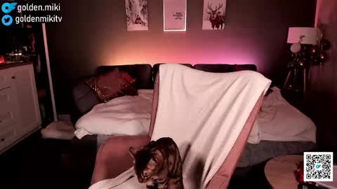 Shy in the streets but a freak in the sheets online show from February 2, 2025, 6:15 am