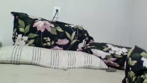 lightskingirl19 online show from April 10, 2026, 7:24 am