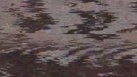        online show from May 21, 2026, 4:41 am