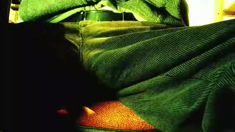 Snapshot of grapefruit chatting on November 12, 2025, 9:21 am grapefruit online show from November 12, 2025, 9:21 am