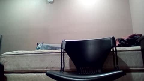 Jack online show from February 19, 2026, 12:56 pm