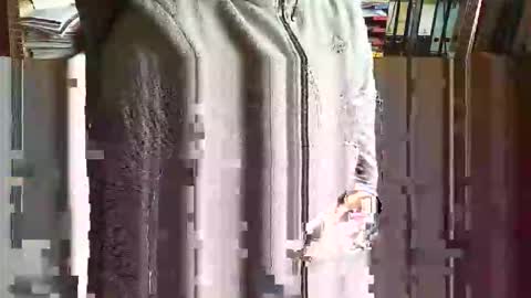 Snapshot of greyhounddog chatting on November 5, 2025, 9:42 am greyhounddog online show from November 5, 2025, 9:42 am