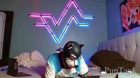 Alpha pup online show from October 22, 2025, 7:57 pm