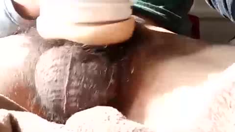 guapopapi88 online show from January 12, 2025, 8:57 pm