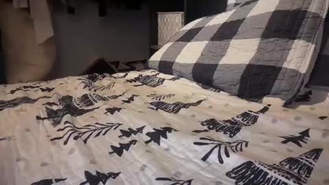 gumbywanna online show from December 29, 2024, 12:09 am