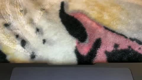 gumbywanna online show from March 9, 2026, 6:06 am