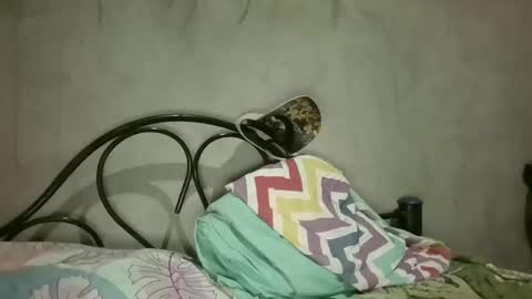 gus7894 online show from March 20, 2026, 3:44 am