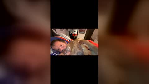 h20976 online show from March 22, 2026, 11:35 am