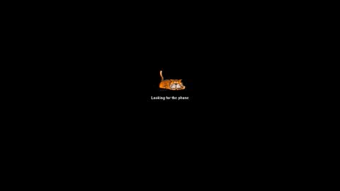 hacigonzales online show from February 22, 2026, 11:58 pm