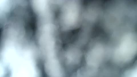 Snapshot of haileyblonde chatting on January 17, 2025, 12:53 am tatted blonde online show from January 17, 2025, 12:53 am