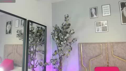 haileystonei online show from November 4, 2025, 11:20 am