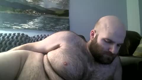 Snapshot of hairiestbear chatting on January 12, 2025, 8:36 am Hairiest Bear online show from January 12, 2025, 8:36 am