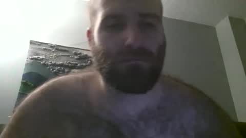 Snapshot of hairiestbear chatting on January 19, 2025, 7:36 am Hairiest Bear online show from January 19, 2025, 7:36 am