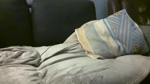 Snapshot of hairiestbear chatting on February 18, 2025, 8:16 am Hairiest Bear online show from February 18, 2025, 8:16 am