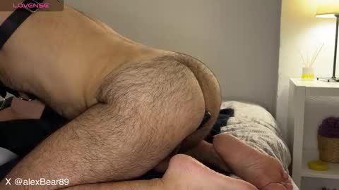 Snapshot of hairyarabbear chatting on September 12, 2025, 9:48 pm hairyarabbear online show from September 12, 2025, 9:48 pm