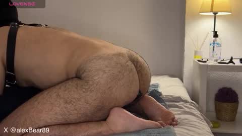 Snapshot of hairyarabbear chatting on September 13, 2025, 11:59 pm hairyarabbear online show from September 13, 2025, 11:59 pm