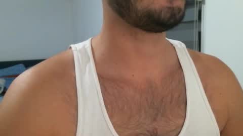 Snapshot of hairyeurostud chatting on February 16, 2025, 1:03 am Andy online show from February 16, 2025, 1:03 am