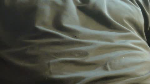 hamhead71 online show from December 8, 2024, 10:03 pm