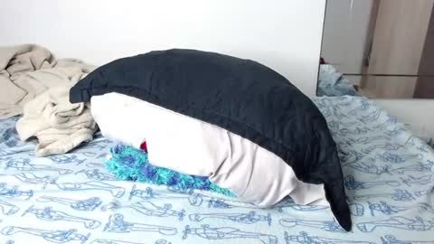 jorge daniel online show from January 14, 2025, 1:06 pm