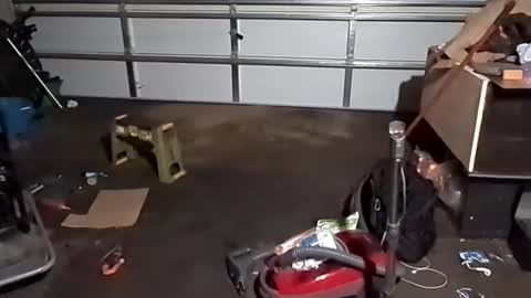 handsomerob42 online show from November 23, 2025, 6:57 am