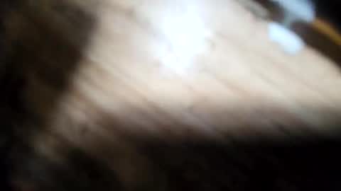 handymanglen online show from February 13, 2026, 11:01 pm