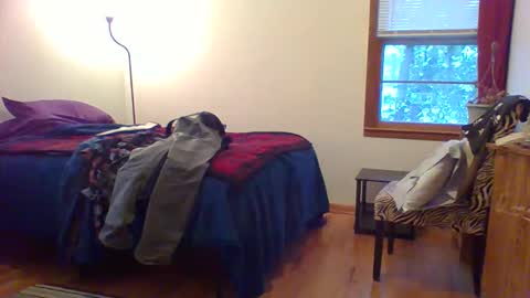 Snapshot of har5 chatting on December 1, 2025, 10:26 pm Hardy-Har online show from December 1, 2025, 10:26 pm