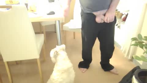 harald1234 online show from February 21, 2026, 1:56 pm