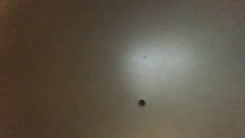 Snapshot of hardforyou3030 chatting on February 15, 2026, 11:23 pm For You online show from February 15, 2026, 11:23 pm