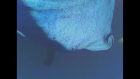 hardning online show from December 28, 2024, 5:12 am