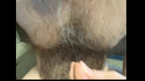 harry_banana online show from February 27, 2026, 1:44 pm