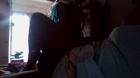 hastra hot online show from March 17, 2026, 8:50 am